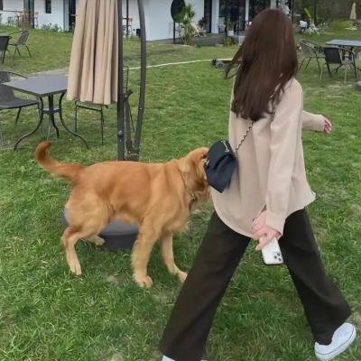 好斗之人